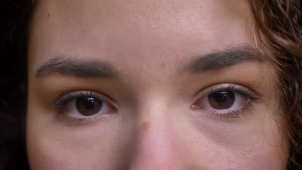Närbild porträtt av unga attraktiva kaukasiska kvinnliga ansikte med bruna ögon titta rakt på kameran och blinkar — Stockvideo