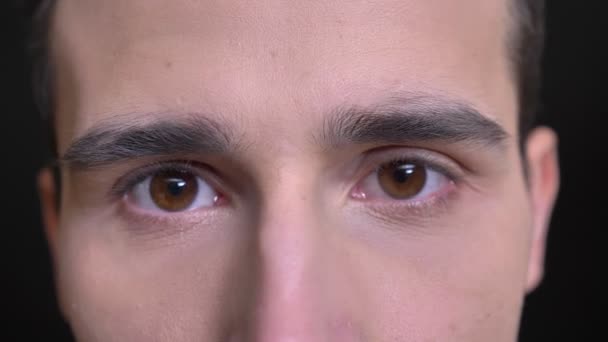 Closeup portret van de jonge Kaukasische mannelijke gezicht met bruine ogen kijken recht op de camera met emotieloos gelaatsuitdrukking — Stockvideo