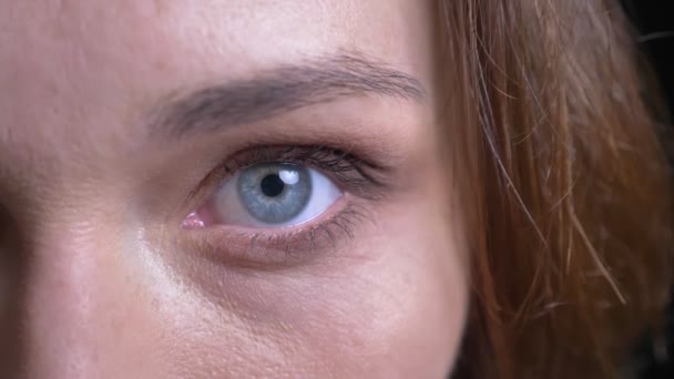 Closeup half-face portrait of adult caucasian female face with blue eye looking straight at camera in contemplation — Stock Video