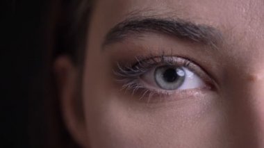 Genç güzel beyaz kadın yüzü güzel mavi gözlü doğruca kameraya bakarak closeup yarı-yüz portresi