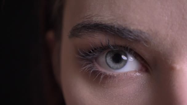 Primer plano retrato de media cara de joven hermosa cara femenina caucásica con bonitos ojos azules cuidadosamente mirando a la cámara — Vídeos de Stock