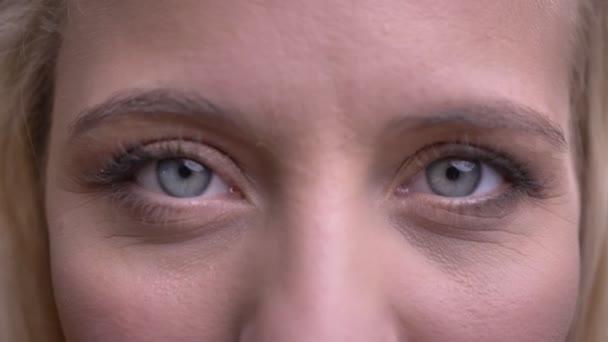 Крупный план портрета молодой красивой белой женщины с серыми глазами, смотрящей прямо в камеру — стоковое видео