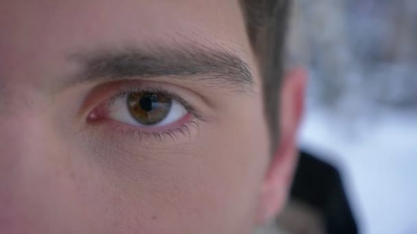 Primer plano de media cara de joven atractiva cara masculina caucásica con el ojo marrón mirando directamente a la cámara — Vídeos de Stock
