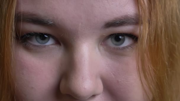 Primer plano de brote de joven atractiva cara femenina con sobrepeso con ojos grises mirando directamente a la cámara en contemplación — Vídeo de stock