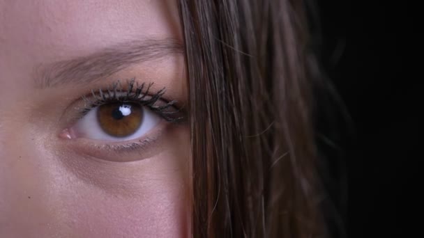 Ελκυστική Καυκάσιος νεαρές με καφέ μάτι βλέπει ευθεία φωτογραφική μηχανή πορτρέτο closeup μισό πρόσωπο — Αρχείο Βίντεο