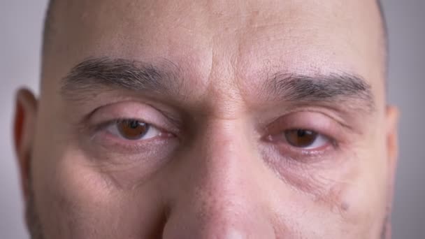 Closeup πυροβολούν μέσης ηλικίας Καυκάσιος αρσενικό πρόσωπο με καστανά μάτια, κοιτάζοντας κατευθείαν σε κάμερα με ουδέτερη έκφραση του προσώπου — Αρχείο Βίντεο