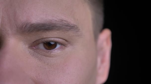 Close-up half-portrait of middle-aged caucasian man watching calmly into camera on black background. — Stock Video