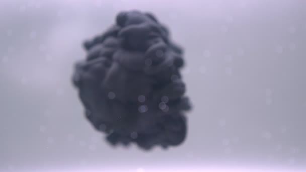 La vraie peinture de couleur noire de coup tombe dans l'eau au ralenti. Encre tourbillonnant sous l'eau. Nuage d'encre isolé sur fond blanc. Animation abstraite colorée d'explosion de fumée. Vue du bas — Video