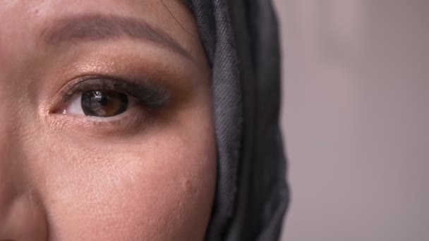 Closeup meia-face atirar de adulto atraente muçulmano fêmea em hijab com olho olhando diretamente para a câmera com fundo isolado — Vídeo de Stock
