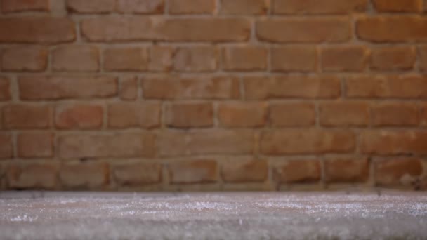 Γκρο πλαν στιγμιότυπο από εύθραυστη γυναικεία πόδια μύτες των ποδιών προς τα εμπρός σε ένα γούνινο χαλί σε φόντο τοίχο bricken. — Αρχείο Βίντεο