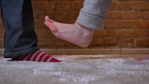 Nahaufnahme von Weibchen und Männchen, die versuchen, einander freudig auf die Füße zu treten, auf einem pelzigen Teppich vor Backsteinmauer-Hintergrund. — Stockvideo