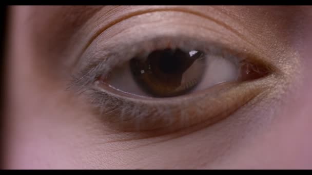 Крупные планы съемки женского лица с карими глазами, смотрящими прямо в камеру и моргающими с нанесенным макияжем — стоковое видео