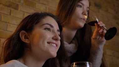 Portre yan görünümü Tv izlerken, şarap mutlu rahat bir daire içinde kapalı gülümseyen içme iki genç güzel kadın portresi