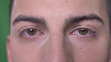 Portre seyir yeşil izole arka plan ile kameraya düz gözlü genç yakışıklı beyaz erkek yüzü ateş