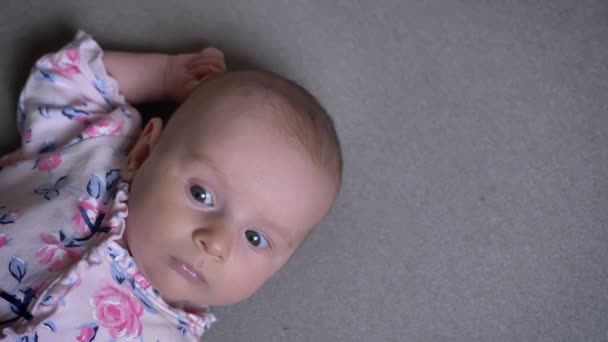 Close-up top shot of pretty newborn girl lying on sofa and watching downwards attentively. — Stock Video