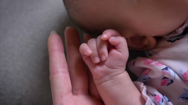 Close-up shot of mother and cute newborn baby hands touching each other. — Stock Video