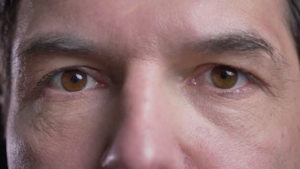 Cloesup skjuta av vuxna attraktiva kaukasiska Man ansikte med bruna ögon ser rakt på kamera med bakgrund isolerad på svart — Stockvideo