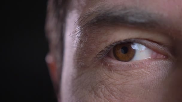 Розкладний напівлицьовий знімок для дорослих привабливий білий чоловік обличчя з коричневим оком, дивлячись прямо на камеру з фоном ізольовані на чорному — стокове відео