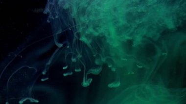 Karışık mavi ve yeşil boya mürekkebi, siyah arka planda yavaş hareket halindeki su içinde, Inky Cloud dönen ve soyut duman patlaması ile yayılır.