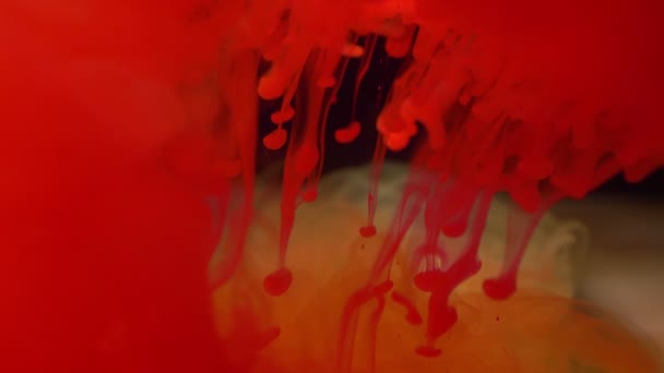 Rode kleur verf inkt gieten over het glas in slow motion op met Inky druppels vallende en abstracte rook explosie. — Stockvideo