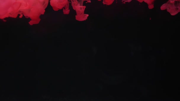Красное чернильное облако рассеивается в воде в замедленной съемке на черном фоне и плавно падает сверху . — стоковое видео