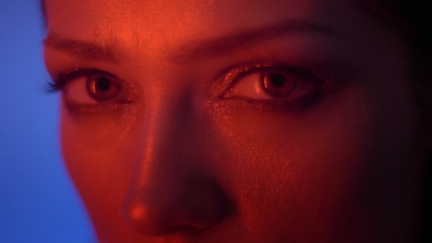 Close-up shot of eyes and lips of calm fashion model in red neon light watching fixedly into camera on blue background. — Stock Video