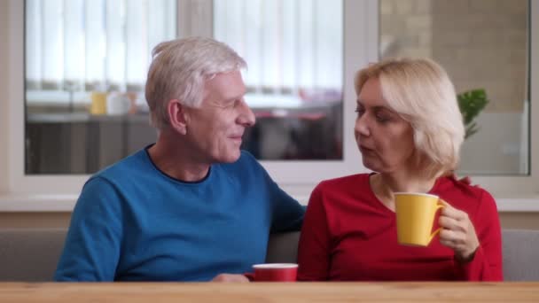 Primer plano sesión de ancianos feliz pareja bebiendo té caliente y hablando alegremente en el interior en un acogedor apartamento — Vídeo de stock