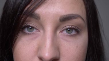 Gri üzerine izole arka plan ile kamera bakarak gözleri ile yetişkin kafkas esmer kadın yüz Closeup portre