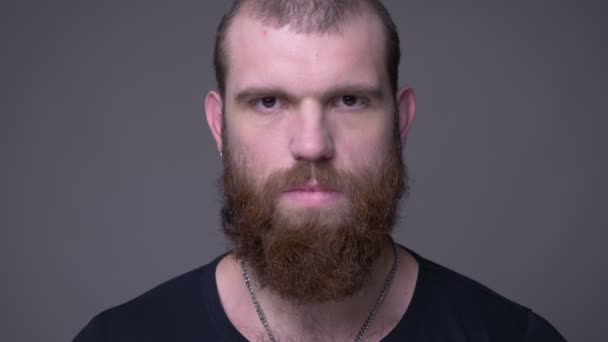 Close-up shoot van volwassen knappe gespierde Kaukasische mannelijke gezicht met baard kijken naar camera met achtergrond geïsoleerd op grijs — Stockvideo