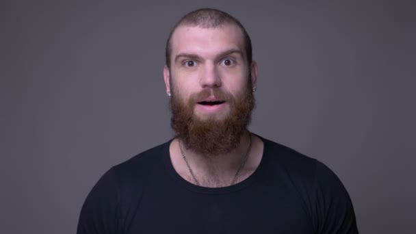 Närbild shoot of Adult stilig muskulös kaukasiska man med skägg bli upphetsad tittar på kamera med bakgrund isolerade på grått — Stockvideo