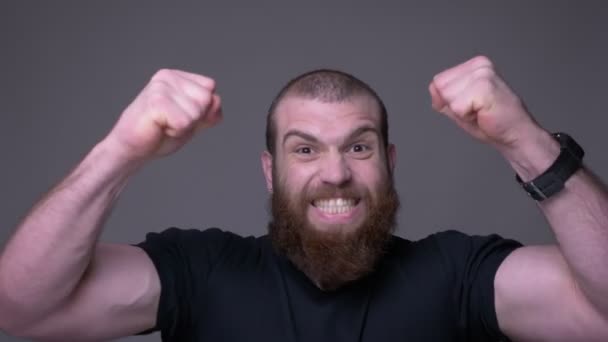 Nahaufnahme Shooting von erwachsenen gut aussehenden muskulösen kaukasischen Mann mit Bart aufgeregt feiern Blick in die Kamera mit Hintergrund isoliert auf grau — Stockvideo