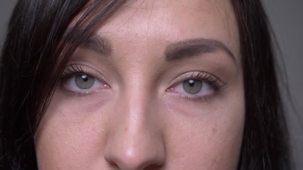 Närbild porträtt av vuxna kaukasiska brunett kvinna ansikte med ögon tittar på kamera med bakgrund isolerad på grå — Stockvideo