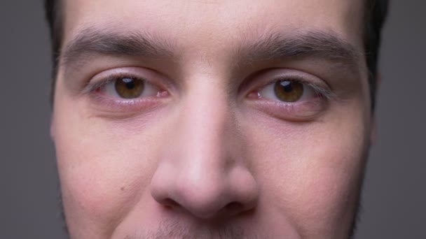 Nahaufnahme eines jungen männlichen Gesichts mit Augen, die mit lächelndem Gesichtsausdruck in die Kamera blicken, mit isoliertem Hintergrund auf grau — Stockvideo