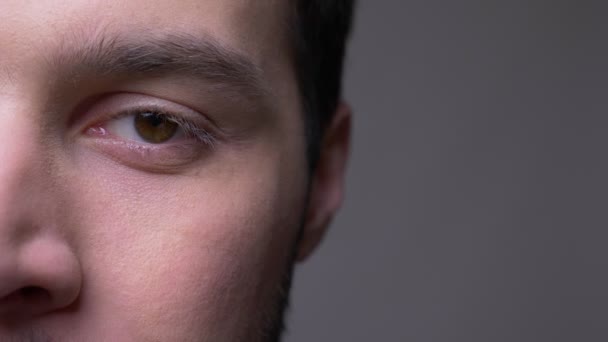 Primer plano media cara disparar de cara masculina joven con los ojos mirando a la cámara con el fondo aislado en gris — Vídeo de stock