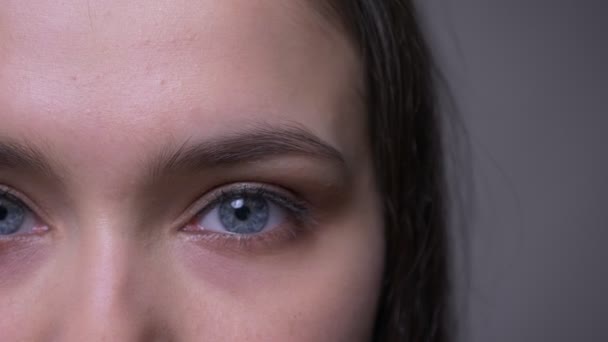 Κοντινό πλάνο ημιπροσώπου σουτ από νεαρό ελκυστικό θηλυκό πρόσωπο με μπλε αφρώδη μάτια κοιτάζοντας την κάμερα με χαμογελαστή έκφραση προσώπου — Αρχείο Βίντεο