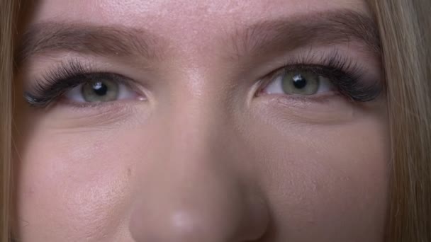 Κοντινό πλάνο του νεαρού όμορφο καυκάσιο θηλυκό πρόσωπο με χαριτωμένα μάτια κοιτάζοντας την κάμερα με φόντο απομονωμένο στο μαύρο — Αρχείο Βίντεο