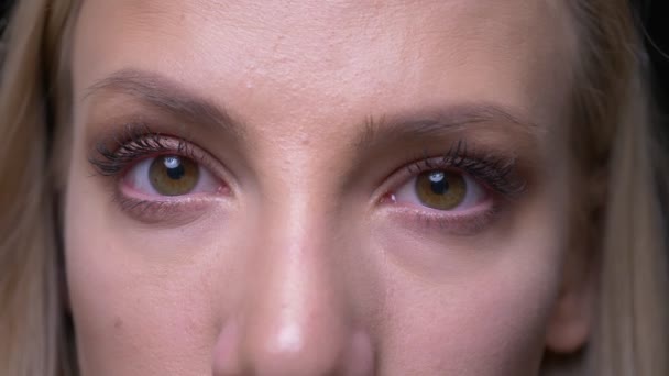 Retrato de primer plano de cara femenina rubia joven con ojos mirando a la cámara con expresión facial sonriente con fondo aislado en negro — Vídeos de Stock