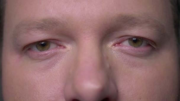 Gros plan portrait des yeux de brunette homme d'affaires d'âge moyen regardant agréablement dans la caméra sur fond gris . — Video