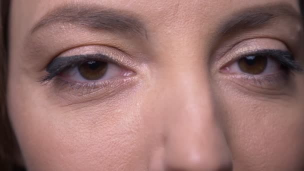 Closeup portrait of adult attractive caucasian female face with eyes looking at camera with background isolated on gray — Stock Video