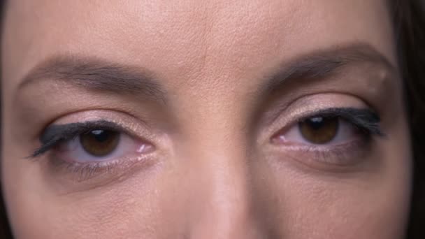 Closeup portréja felnőtt vonzó kaukázusi női arc gyönyörű szem smink nézi kamera háttérrel izolált szürke