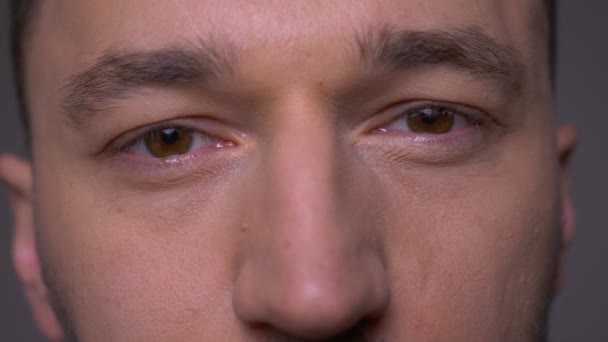 회색에 고립 된 배경으로 카메라를 보고 눈을 가진 젊은 잘 생긴 백인 남성 얼굴의 클로즈업 촬영 — 비디오