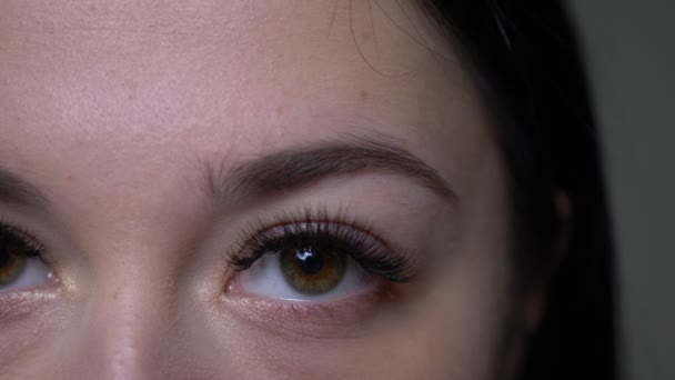 Close-up half-face shoot van jonge mooie Kaukasische vrouwelijke gezicht met ogen kijken rechtdoor naar camera met achtergrond geïsoleerd op grijs — Stockvideo