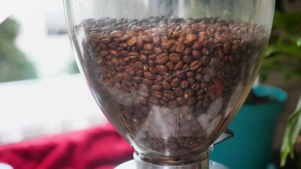 Zbliżenie pędu ziaren kawy w maszynie prasy do kawy wewnątrz w kawiarni — Wideo stockowe