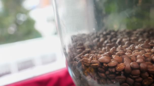 Closeup shoot of coffee beans placed in a coffee press machine indoors in a cafe — Stock Video