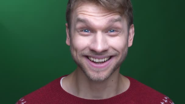 Молодая брюнетка бизнесмен в свитере улыбается быть чрезвычайно счастливым на зеленом фоне . — стоковое видео