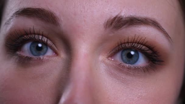 Closeup portrait of young pretty caucasian brunette female looking straight at camera — Stock Video