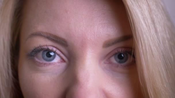 Retrato de close-up de adulto atraente rosto feminino caucasiano com olhos olhando diretamente para a câmera com fundo isolado no branco — Vídeo de Stock