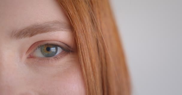 Gros plan portrait d'un oeil de beau modèle de gingembre clignotant en regardant joyeusement dans la caméra sur fond blanc . — Video