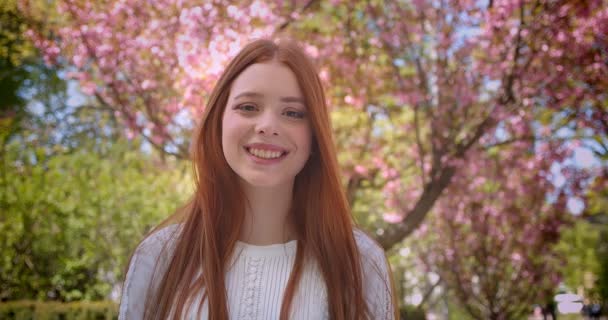 Charmante gember vrouwelijke student in witte blouse poseren gracfully in de camera in roze bloementuin. — Stockvideo