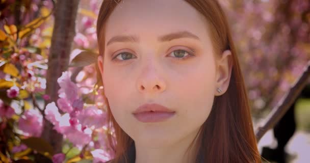 Retrato de cerca de la hermosa chica pelirroja mirando tranquilamente a la cámara en el fondo rosa del parque floral . — Vídeo de stock